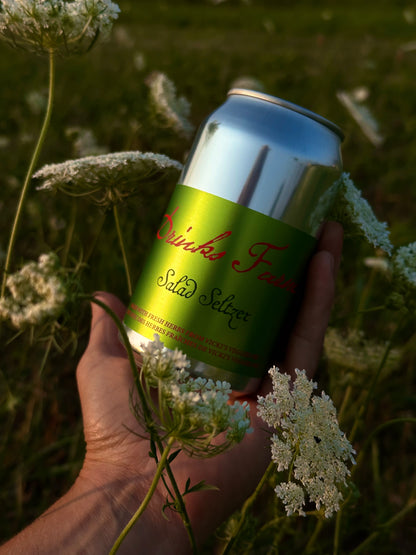 24 x $4.00 Salad Seltzer