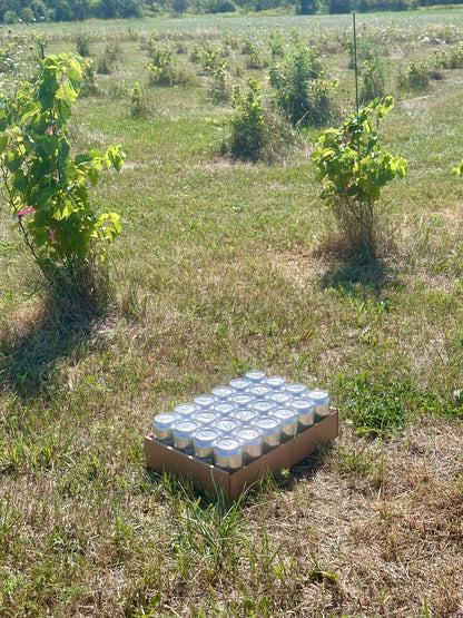24 x $4.00 Salad Seltzer