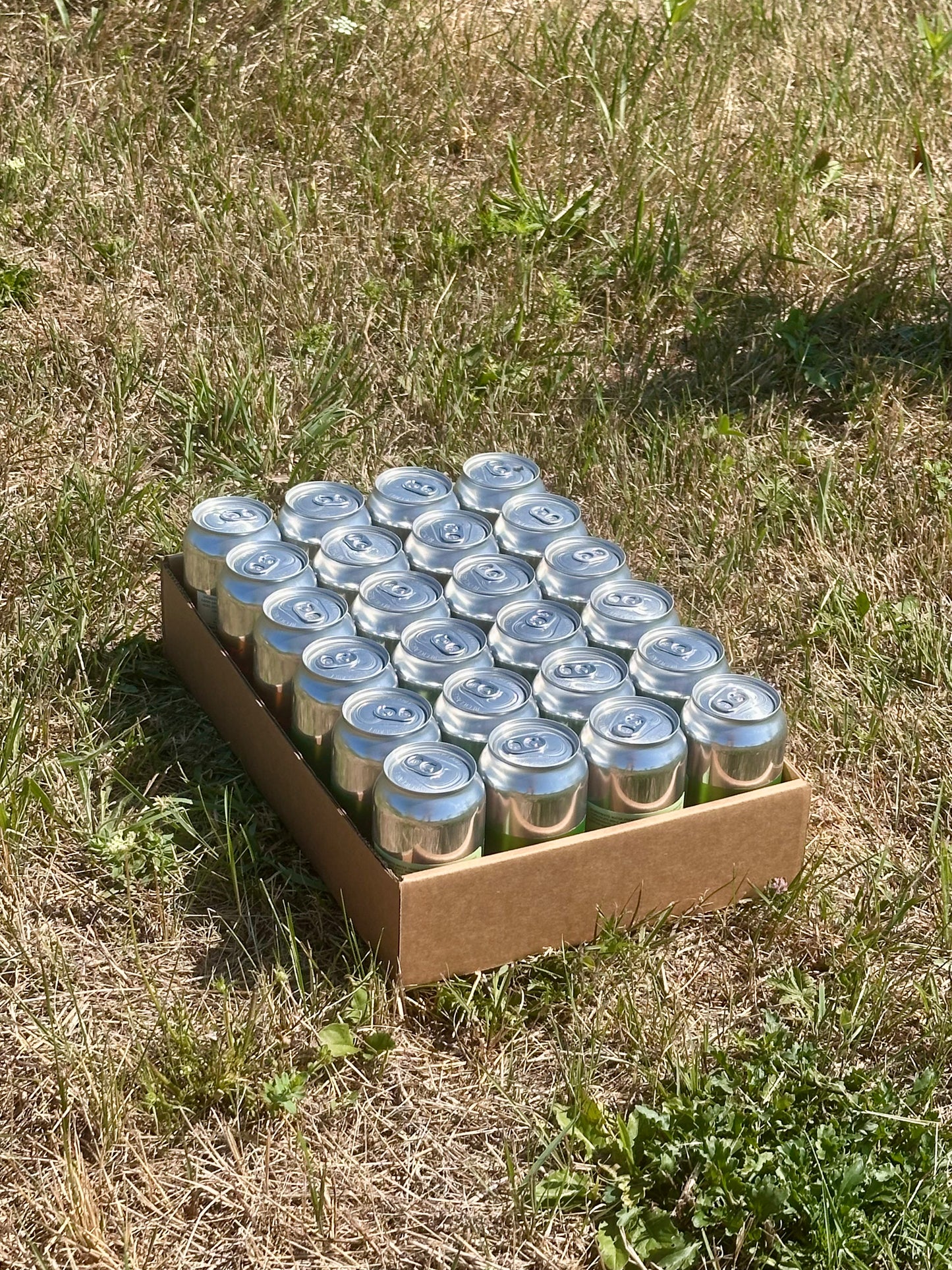 24 x $4.00 Salad Seltzer